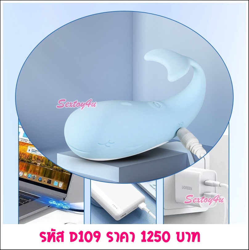 ไข่สั่นไร้สาย โลมาน้อย ไข่สั่นไร้สาย โลมาน้อย