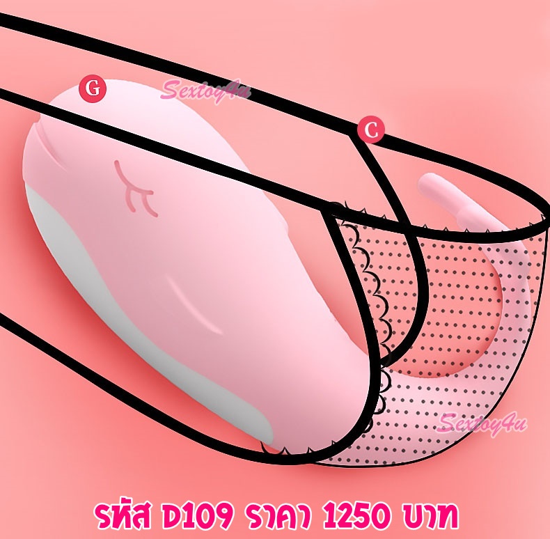 ไข่สั่นไร้สาย โลมาน้อย ไข่สั่นไร้สาย โลมาน้อย
