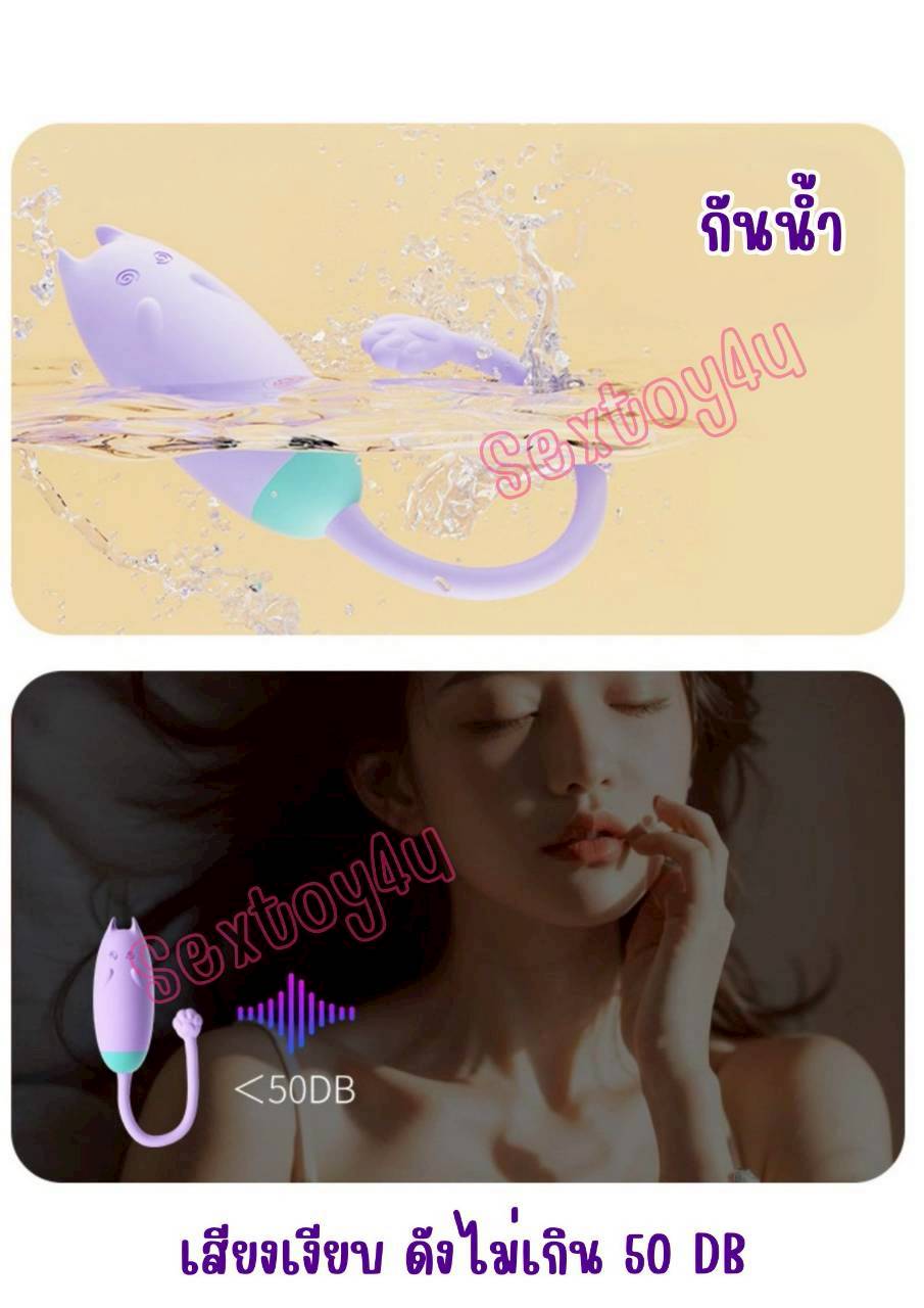 ไข่สั่น ไข่สั่นไร้สาย